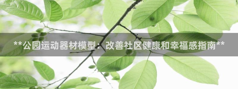 意昂3官方:**公园运动器材模型:改善社区健康和幸福感指南*