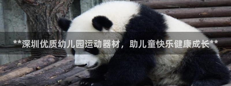 意昂3娱乐平台:**深圳优质幼儿园运动器材,助儿童快乐健康成